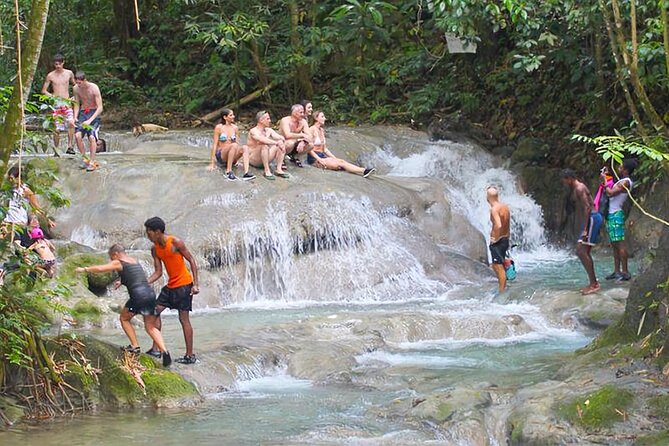Mayfield Falls Tour with Lunch, drink, Entry & Transp(Original) - Key points to know before booking