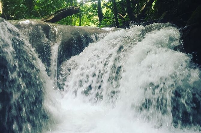 Mayfield Falls Tour with Lunch, drink, Entry & Transp(Original) - Lunch after the water