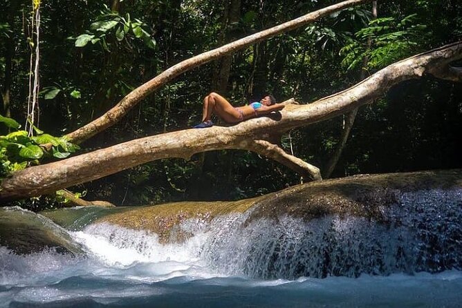 Mayfield Falls Tour with Lunch, drink, Entry & Transp(Original) - Who should book this experience?