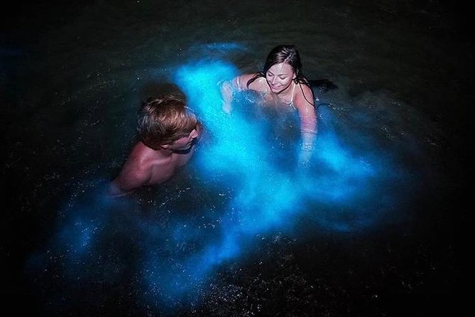 Mesmerizing Luminous Lagoon (Glistening Waters) Night Tour - What happens at Glistening Waters Restaurant and Marina