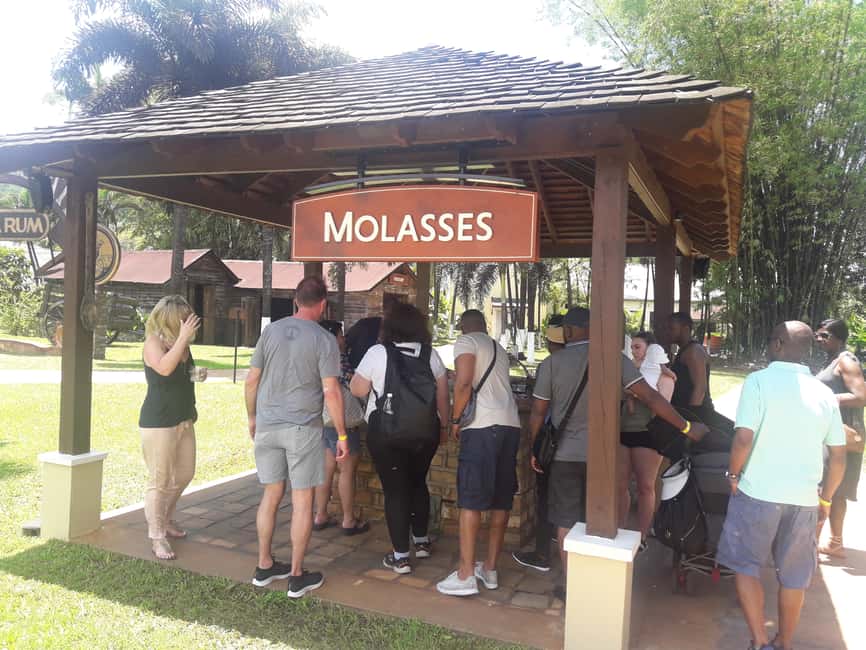 Montego Bay: 8-Hour Appleton & Pelican Bar Return Transfer - The long road south from Montego Bay