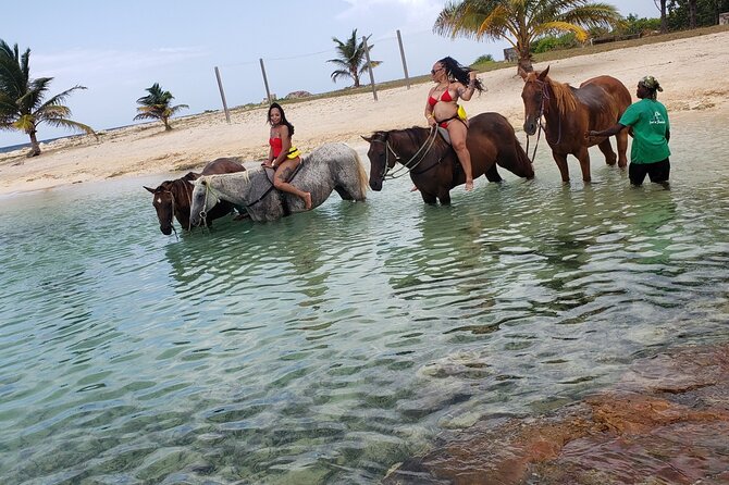 Montego Bay Airport Round Trip Transfer - Why local conversation adds real value
