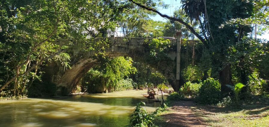 Montego Bay: Bamboo Raft Cruise on the Great River - Who will enjoy this rafting trip?
