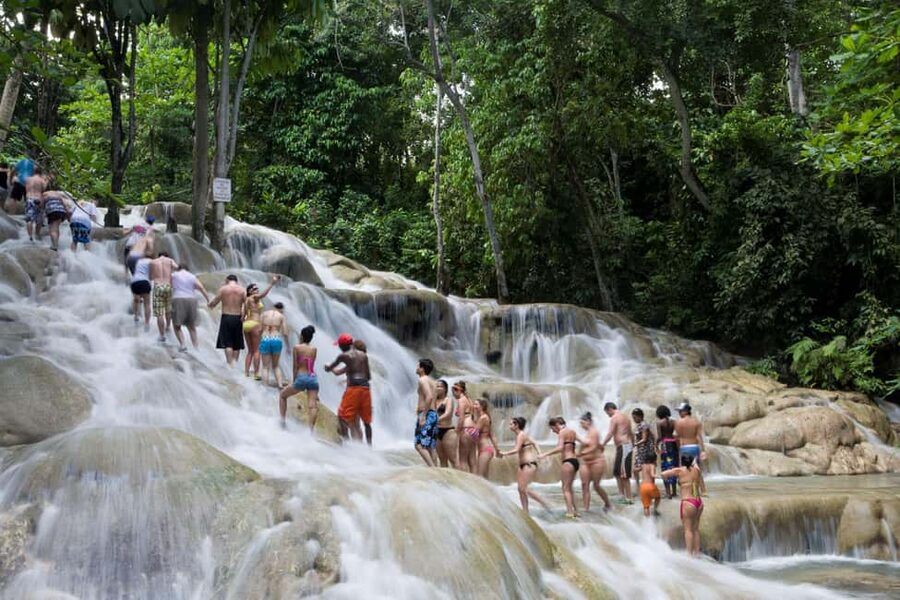 Montego Bay: Blue Hole, Dunn’s River, and Beach Club Trip - Who Will Like This Trip Most