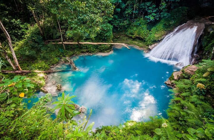 Montego Bay: Blue Hole, Dunn’s River, and Reggae Hill Tour - Dunn’s River Falls turns a waterfall into a group activity