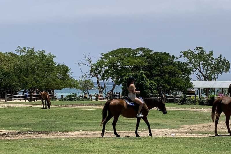 Montego Bay: Day Trip with Zipline, ATV, and Horseback Ride - Horseback riding from land into the sea