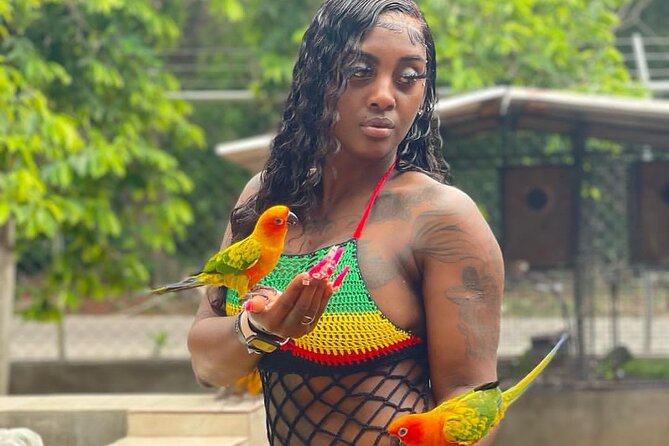Montego Bay Exotic Herbs, Birds and Animals Interaction Tour - Feeding birds and meeting the animals at Ironshore