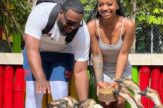 Montego Bay Exotic Herbs, Birds and Animals Interaction Tour - Rain is the main practical risk