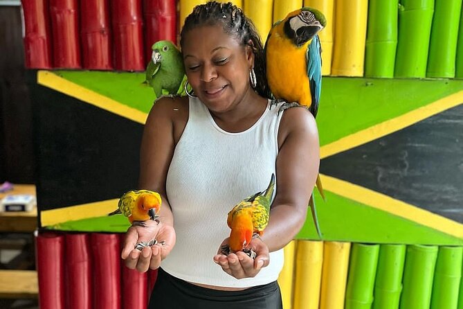 Montego Bay Exotic Herbs, Birds and Animals Interaction Tour - Who will enjoy this Montego Bay activity