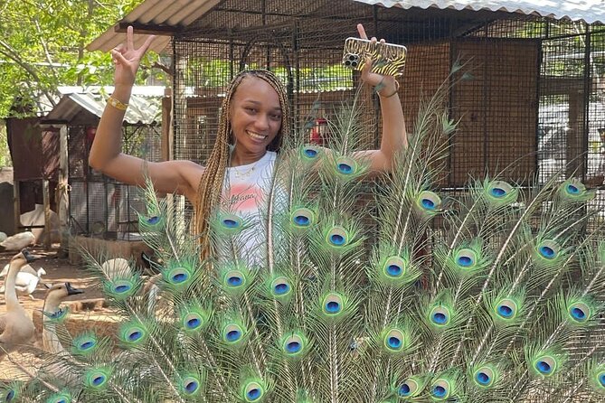 Montego Bay Exotic Herbs, Birds and Animals Interaction Tour - Why the two-hour length works, and where it falls short