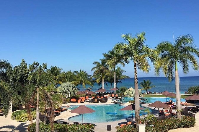 Montego Bay Highlights Tour from Montego Bay - Scotchies Drax Hall and the food stop