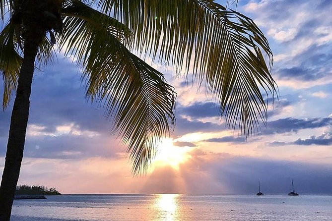 Montego Bay Highlights Tour from Montego Bay - What the private format changes