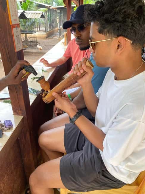 Montego Bay: Marijuana Farm and Bird Sanctuary Tour - What the three-hour Montego Bay tour really includes