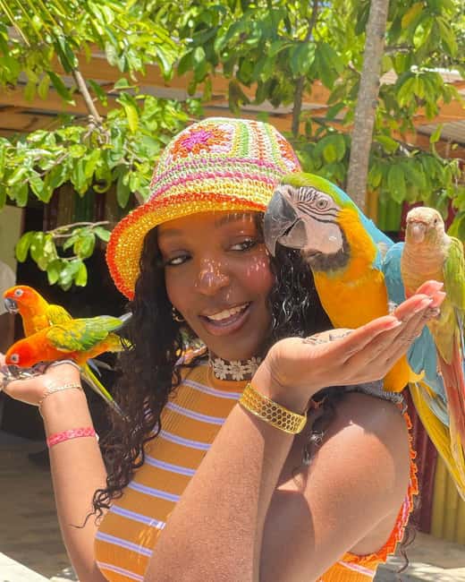 Montego Bay: Marijuana Farm and Bird Sanctuary Tour - Should you book the Montego Bay marijuana farm and bird sanctuary tour?