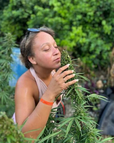 Marijuana Farm and Bird Sanctuary Tour