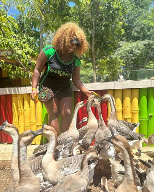 Montego Bay: Marijuana Farm and Bird Sanctuary Tour - A stop for food, but not a Jamaican food tour