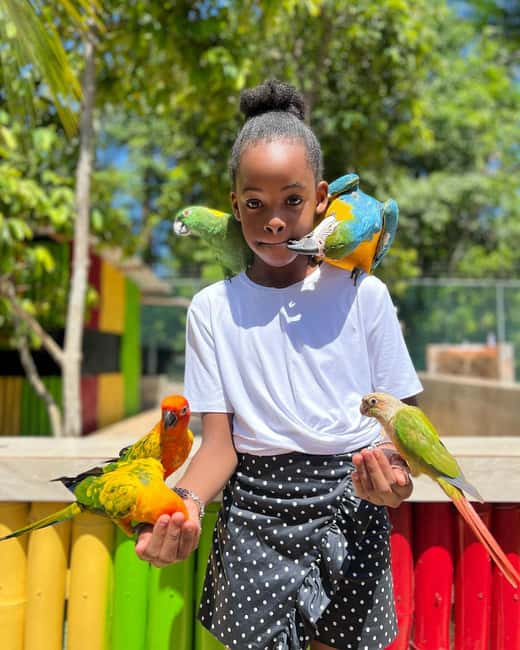Montego Bay: Marijuana Farm and Bird Sanctuary Tour - Practical advice before you leave your hotel