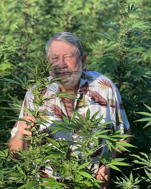 Montego Bay: Marijuana Farm Private Tour with Transportation - What the Montego Bay marijuana farm tour is really like