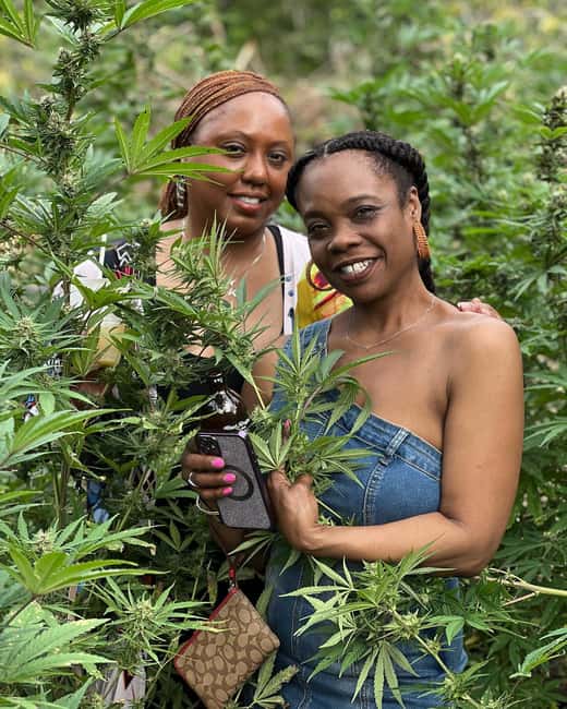 Montego Bay: Marijuana Farm Private Tour with Transportation - Hands-on work depends on the season