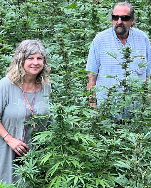 Montego Bay: Marijuana Farm Private Tour with Transportation - Sampling flowers, extracts, and infused products