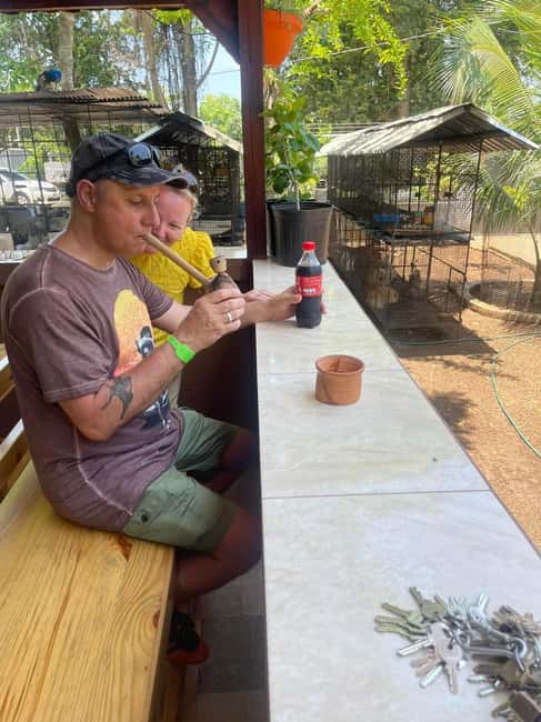 Montego Bay: Marijuana Farm Private Tour with Transportation - Who will enjoy this private farm visit?
