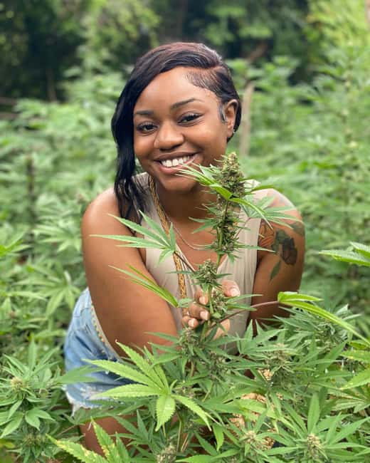 Montego Bay Marijuana Farm Tour - Key points to know before booking