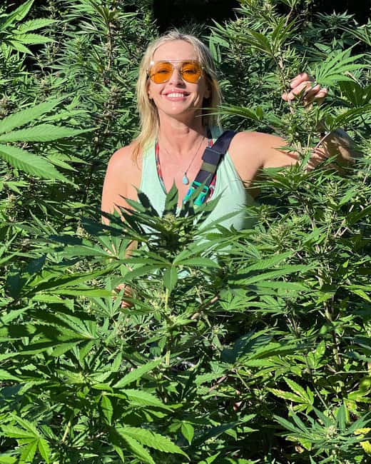 Montego Bay Marijuana Farm Tour - Photos among the rows of plants