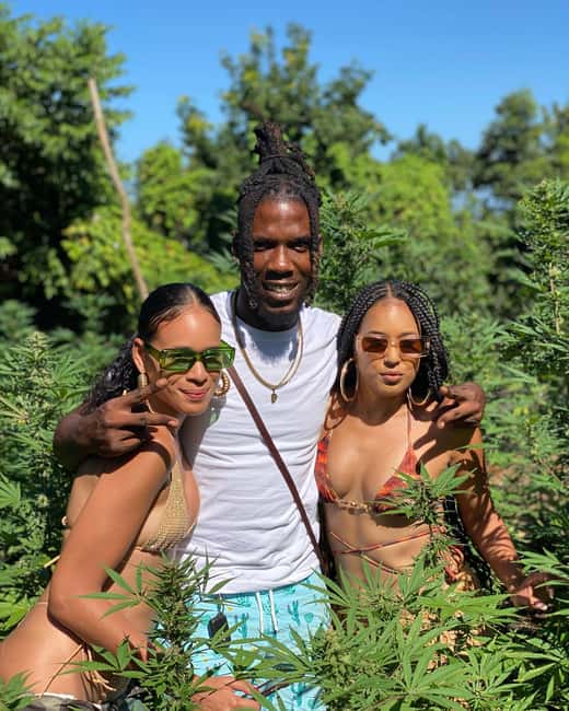 Montego Bay Marijuana Farm Tour - Transfers from Montego Bay, Falmouth, and nearby resorts