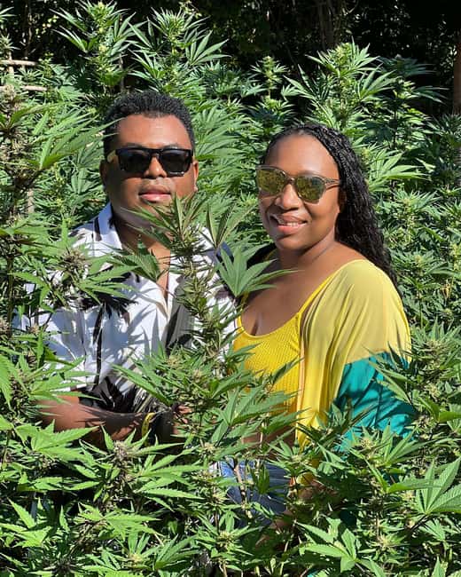Montego Bay Marijuana Farm Tour - Is $140 per person fair value?