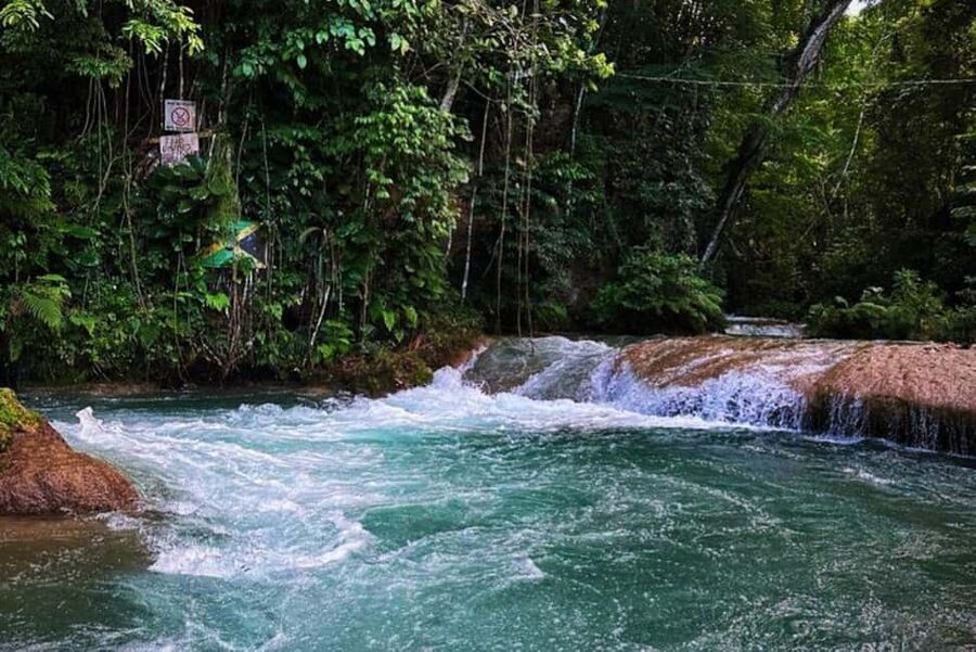 Montego Bay: Private Dunn's River Falls and Blue Hole Tour - Key points to know before booking