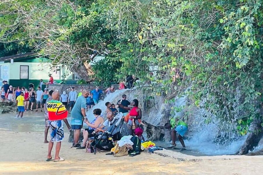 Montego Bay: Private Dunn's River Falls and Blue Hole Tour - My practical verdict
