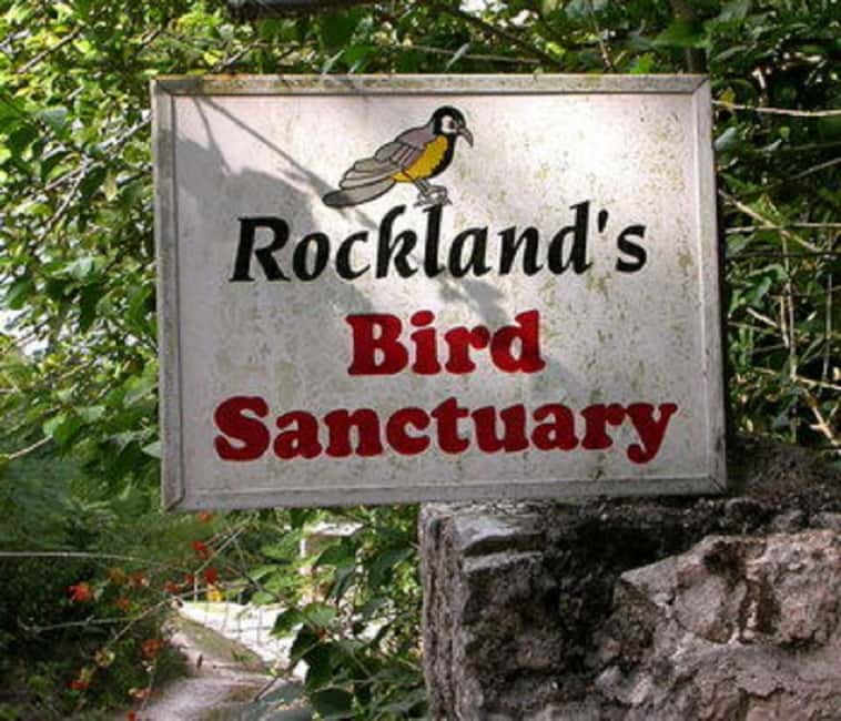 Montego Bay: Private Rocklands Bird Sanctuary Trip - Why the guided walk matters