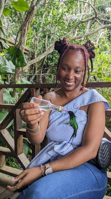 Montego Bay: Private Rocklands Bird Sanctuary Trip - Who will enjoy this outing most?