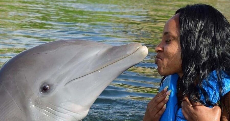 Montego Bay: Swim With The Dolphins Adventure in Lucea - The transfer from your resort to Lucea
