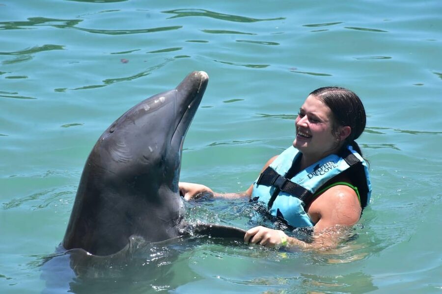 Montego Bay: Swim With The Dolphins Adventure in Lucea - My advice before you go