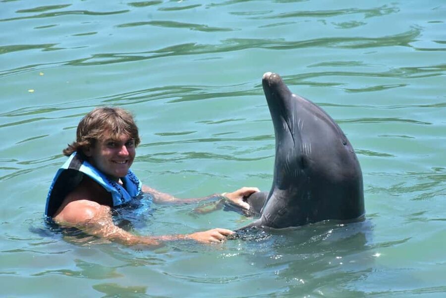 Montego Bay: Swim With The Dolphins Adventure in Lucea - Choosing between the Encounter and Swim Adventure