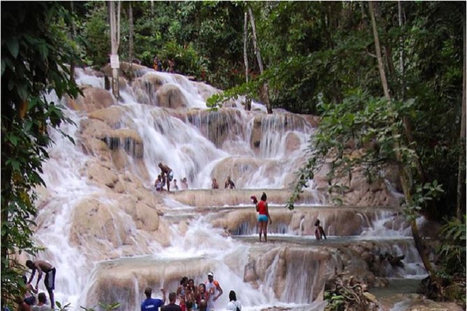 Montego Bay to Dunn's River Falls Half-Day Trip - Key points before you book