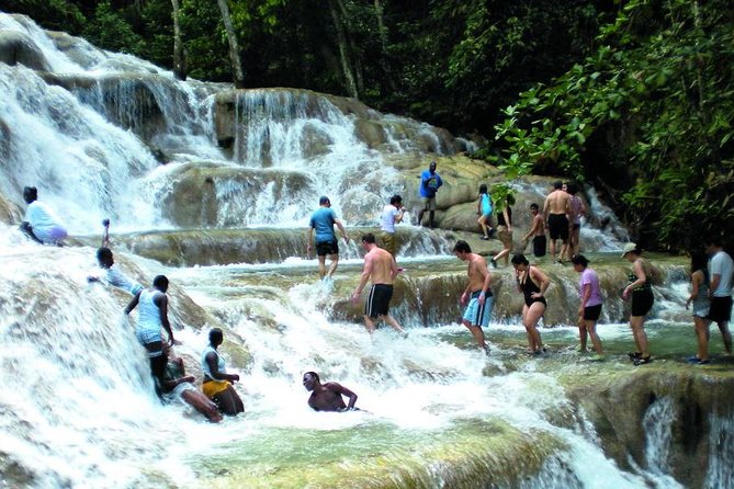 Montego Bay to Dunn's River Falls Half-Day Trip - What the Dunn’s River climb is really like