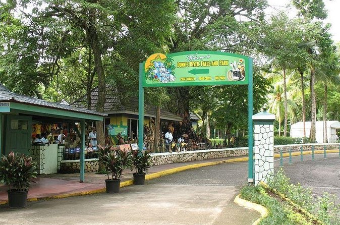 Montego Bay to Dunn's River Falls Half-Day Trip - What happens before and after the falls
