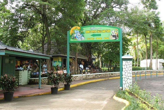 Montego Bay to Dunn's River Falls Half-Day Trip - Should you book this Dunn’s River Falls trip?
