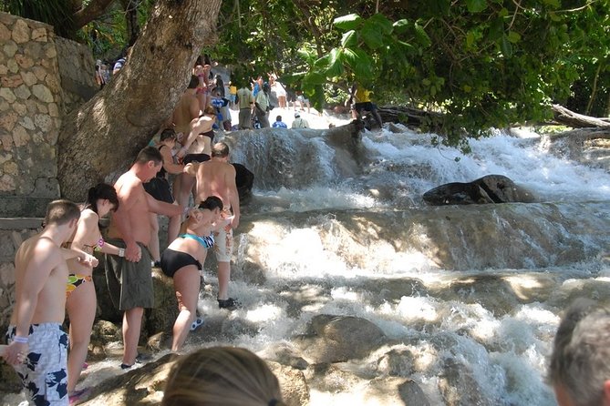 Montego Bay tour: Dunn's River Falls - Timing, weather, and practical planning