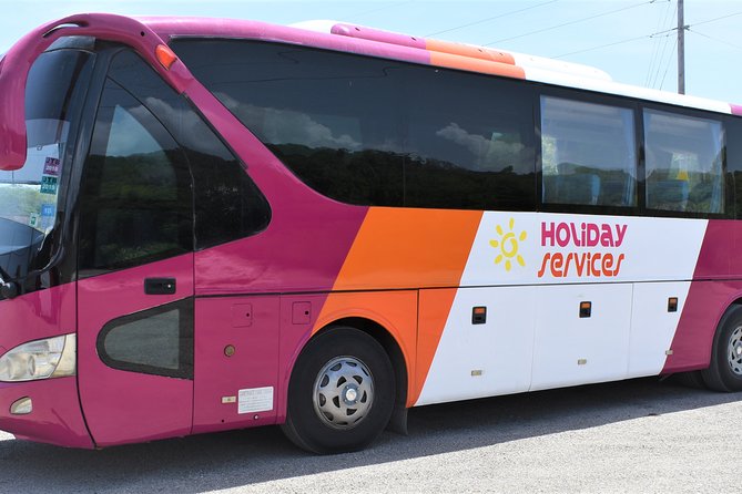 MontegoBay Airport to Ocho Rios: One way/Round Trip cheap Shuttle - Departure Transfers Require More Planning