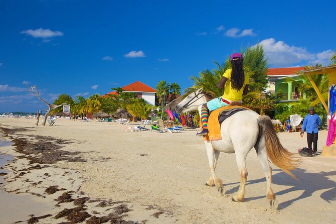 Negril 7 Mile Beach and Rick's Cafe Tour From Montego Bay Jamaica - Who will enjoy this outing most?