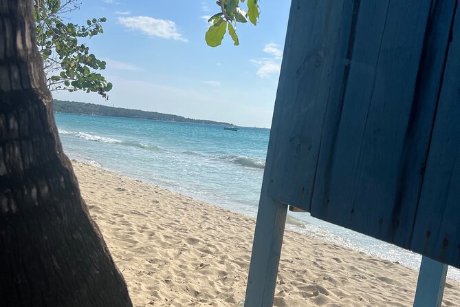 Negril 7 Mile Beach and Ricks Cafe Tour - Is $105 a fair price?