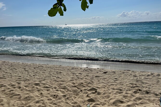 Negril 7 Mile Beach and Ricks Cafe Tour - Practical booking advice for the day