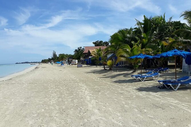 Negril 7 Miles Beach and Rick's Cafe Tour - A private vehicle changes the feel of the day