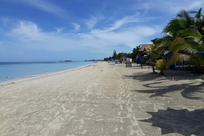 Negril 7 Miles Beach and Rick's Cafe Tour - Is $131 per person a fair price?