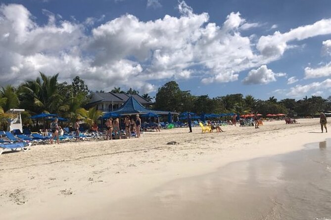 Negril Beach & Rick's Cafe Tour - What the driver adds to the experience