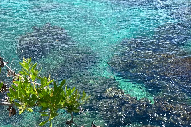 Negril day! beach and west end Cliffs with French Guide - Is $180 a person fair?