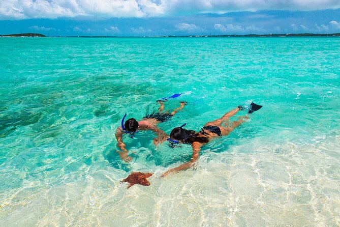 Negril Seven Miles Beach, Snorkeling, Boat Ride, Ricks Cafe Combo - Key Points To Know Before You Go